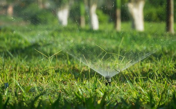 Installateur de système d'arrosage, Haguenau, Technic’Jardins